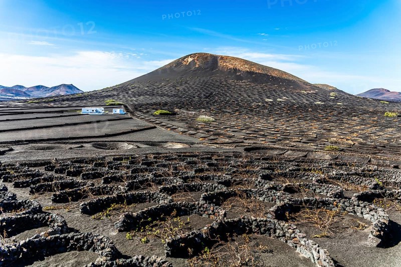 2016, La Geria, Lanzarote, La Geria, ESP, Spain, Canary Islands, Canary Islands, Atlantic Ocean, Lanzarote, biosphere reserve, volcano, volcanism, volcanic island, island, wine-growing area, wine, nature reserve, recording date, Europe