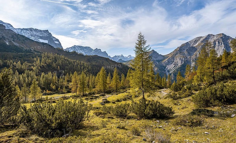 Mountain panorama with steep rocky peaks, yellow-coloured larches in autumn, hike to the summit of the Hahnkampl, Engtal, Karwendel, Tyrol, Austria, Europe