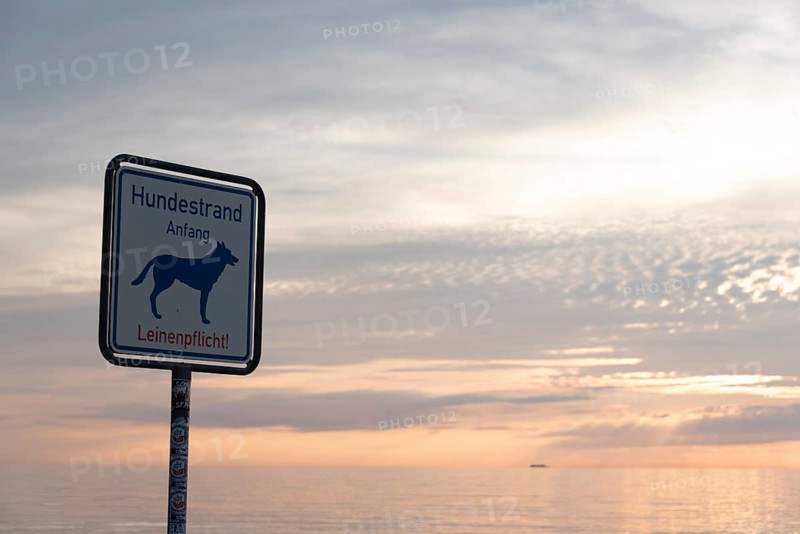Sign on the dog beach at sunset with calm sea and cloudy sky, dog symbol and leash requirement notice, Baltic Sea peninsula Fischland-Darß-Zingst, Dierhagen, Mecklenburg-Western Pomerania, Germany, Europe
