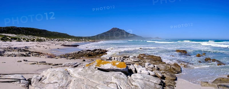 Platboom Beach, Cape Point, Cape of Good Hope, Cape Peninsula, Western Cape, South Africa, Africa