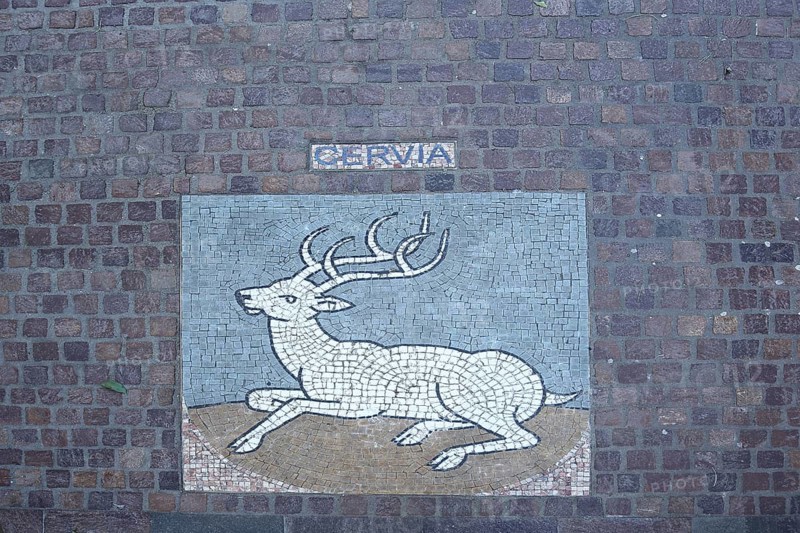 City coat of arms of the Italian twin town of Cervia, deer figure, handicrafts, paving stones, floor, Italian, Italy, inscription, market square, Aalen, Swabian Alb, Baden-Württemberg, Germany, Europe