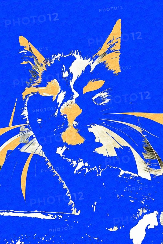 Michas Cats, art, mixed media, artist Michael Preyer, abstract cat portrait, portrait, cat head, painting, graphic, portrait of a cat, ears, whiskers, colour blocking, blue with yellow, alienation, Germany, Europe