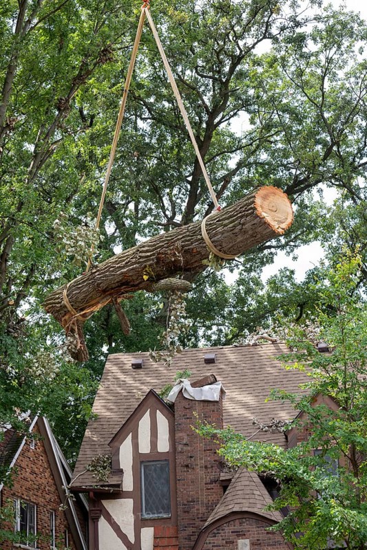 Detroit, Michigan, A storm with 70mph wind gusts blew down a 15-ton, 110-foot cottonwood, damaging three homes in the Morningside neighborhood. A dozen workers used two cranes, bucket trucks, and other equipment to remove the tree