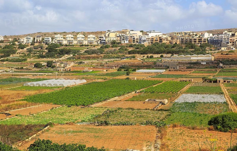 Fertile farm land in Pwales valley, St Paul's Bay, Ghajn Tuffieha, Malta, Europe