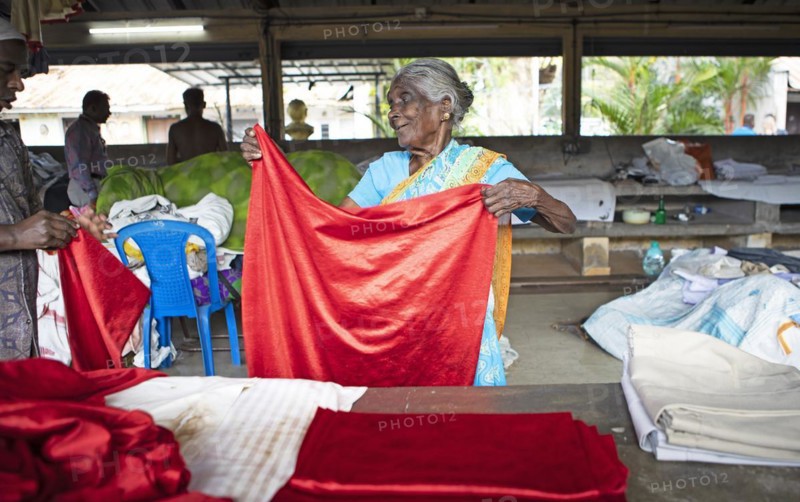 Indian woman folding laundry at Dhoby Khana laundry, Kochi, Kerala, India, Asia