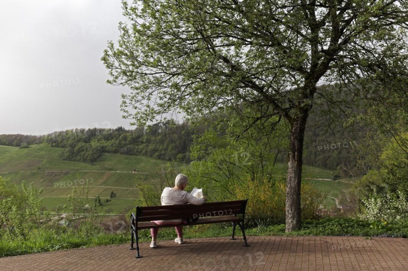 Senior citizen sitting on a bench and reading a newspaper, spring, spa garden Badenweiler, Markgräflerland, Black ForestBaden-Württemberg, Germany, Europe