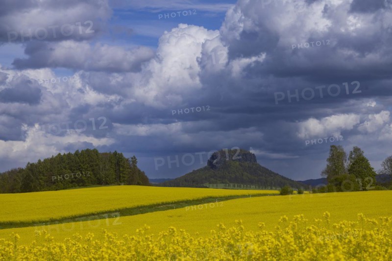 The Lilienstein is the most famous striking rock formation in Saxon Switzerland, Struppen, Saxony, Germany, Europe
