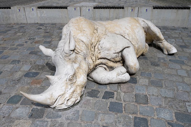 Sculpture of a sleeping Rhino, 2016 created by the artist Dorota Hadrian from Krakow, Egidienplatz, Nuremberg, Middle Franconia, Bavaria, Germany, Europe