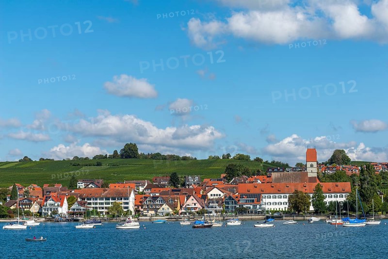 Townscape, sports boats, church, blue sky, vineyards, Hagnau on Lake Constance, Baden-Württemberg, Germany, Europe