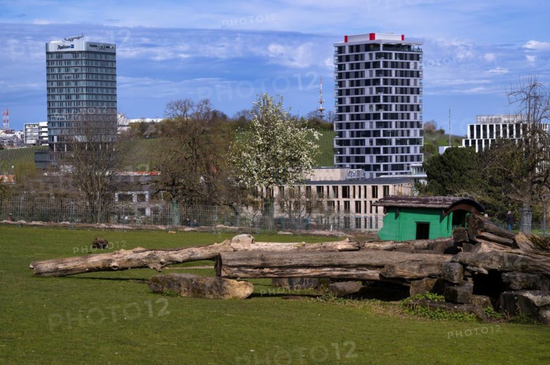 View from Höhenpark Killesberg over animal enclosure to Feuerbach district, new Porsche Design Tower tower, Skyline Living Tower, Pragsattel, Stuttgart, Baden-Württemberg, Germany, Europe