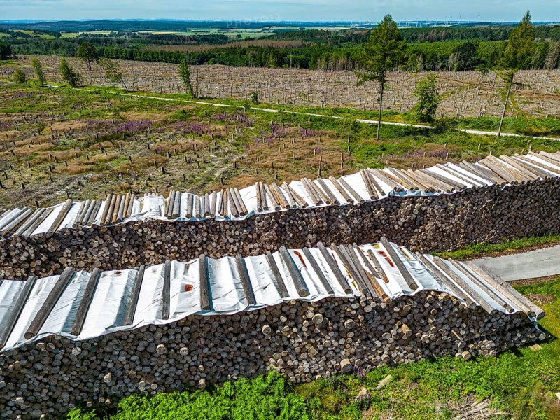 Large tree stacks, Cleared forest in the Eggegebirge, near Lichtenau, Paderborn district, site of a spruce forest that had died due to heavy bark beetle infestation and was felled, the tree stumps are intended to provide protection and nutrients for new, planted trees, North Rhine-Westphalia, Germany, Europe