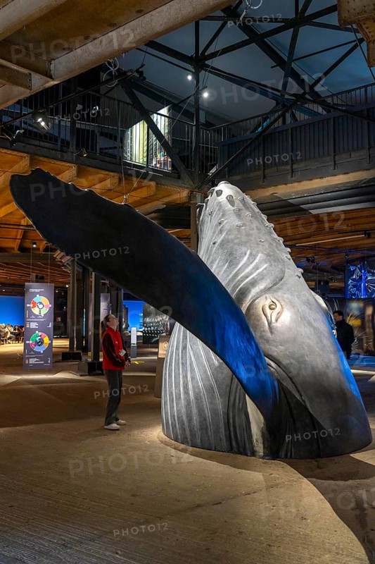Plante Ozean exhibition in the Gasometer in Oberhausen, the world's oceans in their fragile beauty are the focus of the new exhibition, large-format photos, exhibits including a whale skeleton and an immersive large-scale video and sound installation, The Wave, on a 40 metre high screen measuring over 1000 square metres in total can be seen, Oberhausen, Germany, Europe