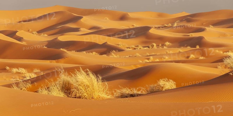 Sand dunes, Erg Chebbi, Sahara, Southern Morocco, Morocco, Africa