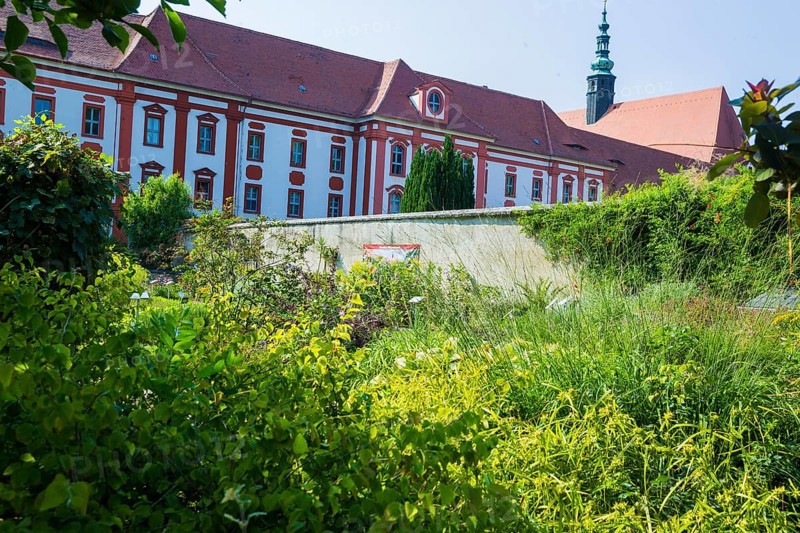The Cistercian monastery of St Marienstern (sorb. Marijina Hwezda) is located on the Klosterwasser in Panschwitz-Kuckau in Upper Lusatia in Saxony. Sankt Marienstern is one of the few religious houses that have served the same purpose since their foundation. Even today, 19 Cistercian nuns live and work in the monastery with Abbess Benedicta Waurick and, in addition to the solemn Liturgy of the Hours, pastoral care and work in the house and garden, they also dedicate themselves to the care, education and employment of disabled people who are accommodated in several residential areas. Parts of the monastery are freely accessible. These include: The monastery church, monastery garden, monastery museum, monastery restaurant and monastery shop. The cloister as the nuns' living space and the cloister are naturally not open to the public. Only for the 1st Saxon State Exhibition in 1998 did the convent open this area for the exhibition and its visitors, St. Mariestern Convent, convent garden, ...