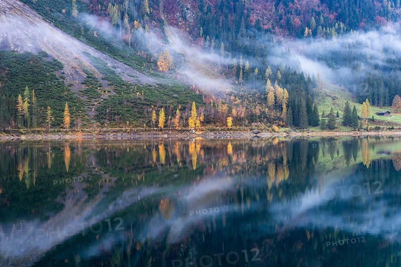 The Vordere Gosausee in autumn. Part of the lake shore, with clouds. Trees in autumn leaves, yellow larches. Reflection. Vorderer Gosausee, Gosau, Gosau Valley, Salzkammergut, Upper Austria, Austria, Europe