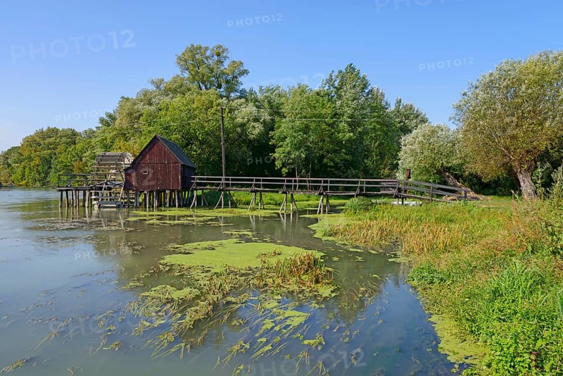 A wooden footbridge leads to a wooden mill on the calm waters of the Little Danube surrounded by greenery, water wheel mill Tomášikovo, watermill, Tomasikovo, Tallós, Tallos, Galanta, Trnavský kraj, Trnavsky, Slovakia, Europe