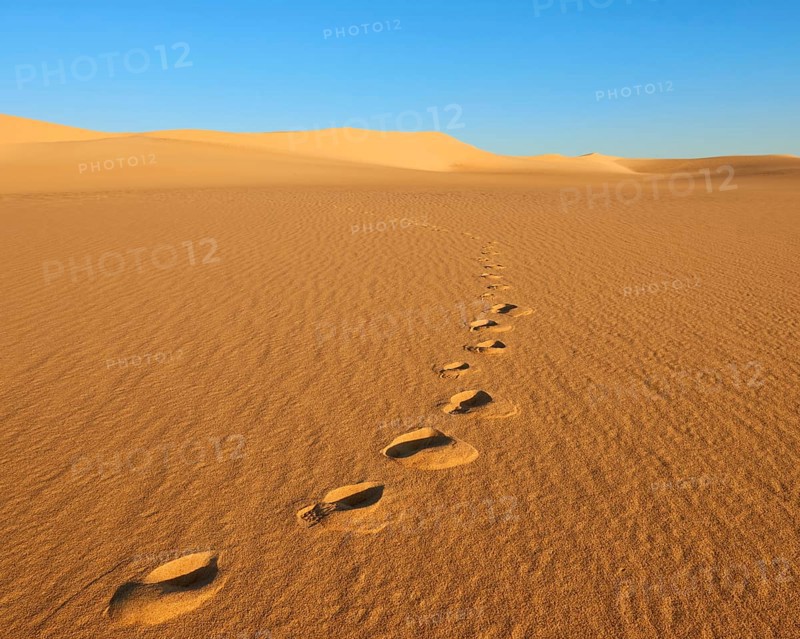 Footprints run through a quiet, sunlit desert with large sand dunes and a clear blue sky, Matruh, Great Sand Sea, Libyan Desert, Sahara, Egypt, North Africa, Africa