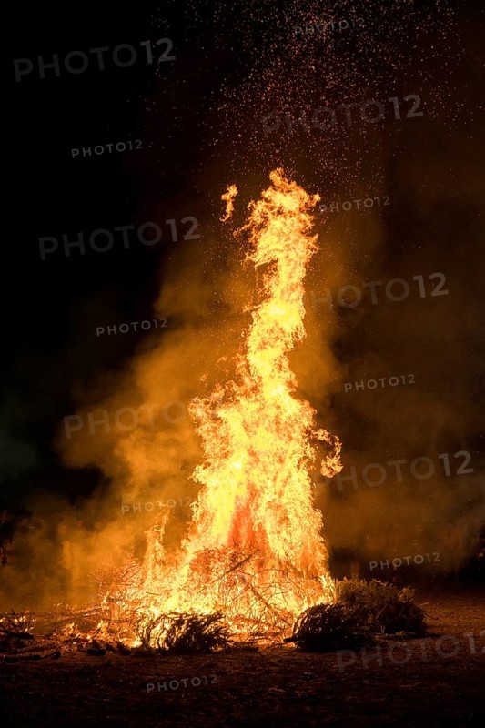 Environmental pollution, fire from discarded Christmas trees, Ostfildern-Plieningen, Baden-Württemberg, Germany, Europe