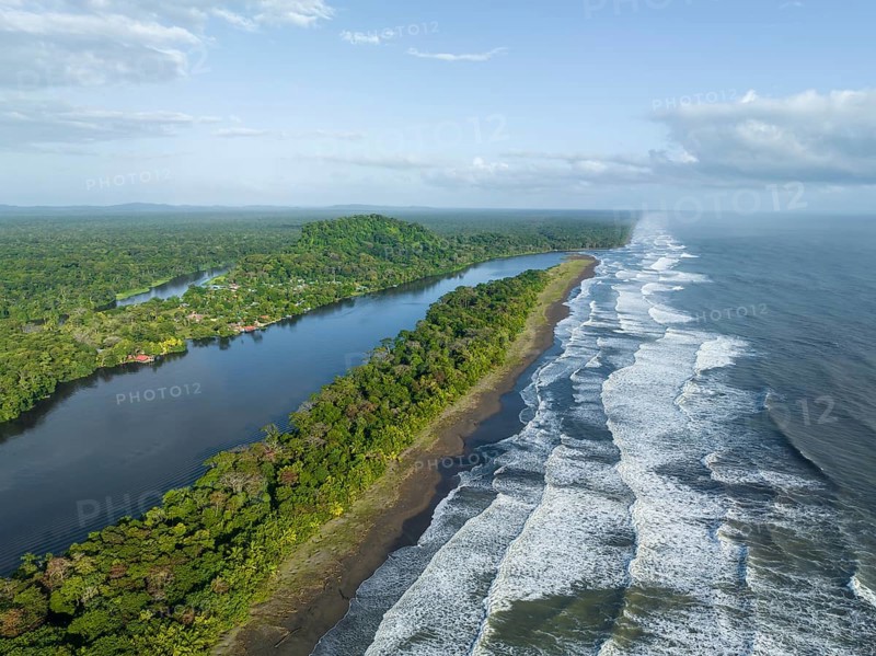 Aerial view, beach and sea, coast with rainforest, Tortuguero National Park, Costa Rica, Central America