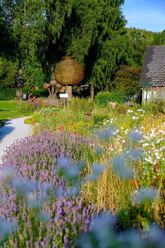 Herb garden, poppy garden, Waldviertel grey poppy, poppy village Armschlag, Waldviertel, Lower Austria, Austria, Europe