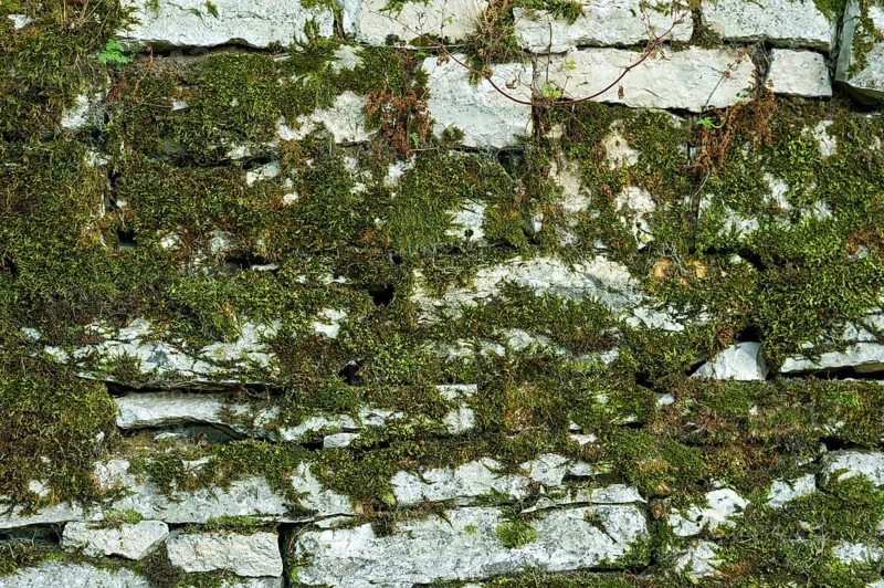 Dry masonry, mossy wall made of natural stones, background image, Wülzburg Fortress, Renaissance fortification, Weißenburg in Bavaria, Altmühltal, Middle Franconia, Franconia, Bavaria, Germany, Europe