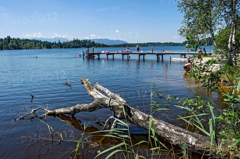 Kirchsee moor lake, bathing lake with bathing jetty for moor bath near Reutberg monastery, Sachsenkam, Ellbach and Kirchseemoor nature reserve, Isarwinkel, Brauneck at the back, Benediktenwand, Heiglkopf, Blomberg, Upper Bavaria, Bavaria, Germany, Europe