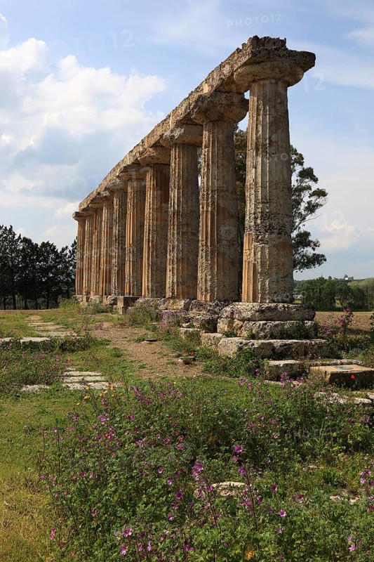 Metaponto, Metaponte, Doric hera temple, Tavole Palatine, Basilicata, Italy, Europe