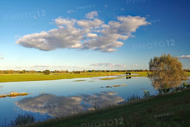 Flooded Elbe meadows reflect the clouds in the blue sky in the middle of a vast landscape, autumn, Elbe, Langendorf, Wendland, Lower Saxony, Germany, Europe