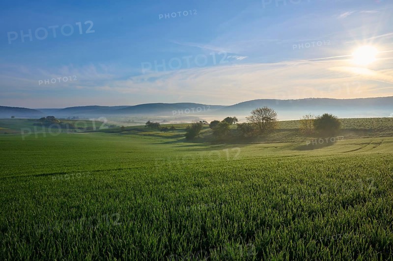 Green fields and meadows under a blue sky with few clouds, the morning sun shines on a peaceful landscape, Mönchberg, Miltenberg, Spessart, Bavaria, Germany, Europe