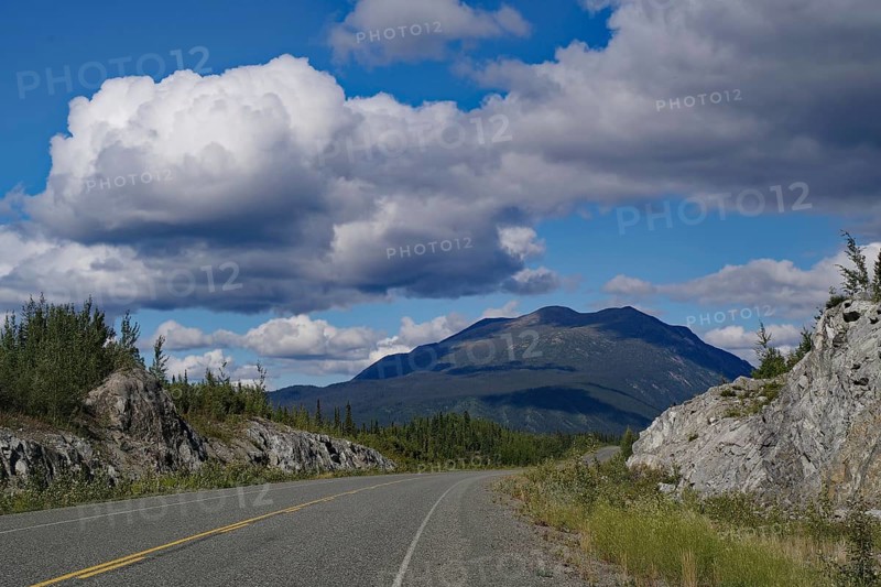 Endless road without traffic, adventure, summer, forest, wilderness, Alaska Highway, Yukon Territory, Canada, North America
