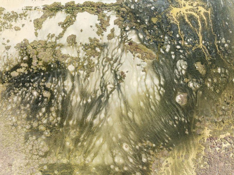 Marshland at low tide. Nature Reserve La Breña y Marismas del Barbate. Aerial view. Drone shot. Cádiz province, Andalusia, Spain, Europe