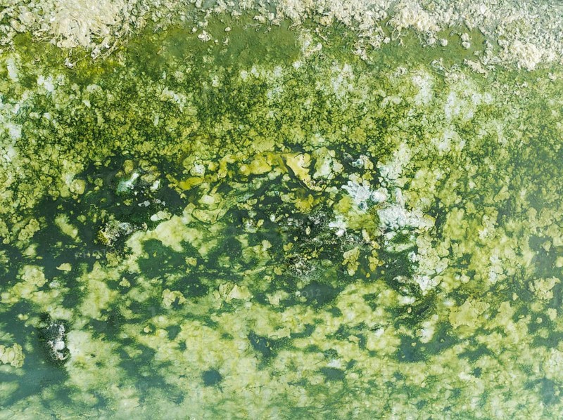 Detail of salt marshes near Sanlúcar de Barrameda. Aerial view. Drone shot. Cádiz province, Andalusia, Spain, Europe