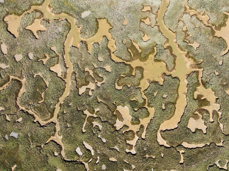Network of channels and streams at low tide. In the marshland of the Piedras River. Aerial view. Drone shot. Huelva province, Andalusia, Spain, Europe