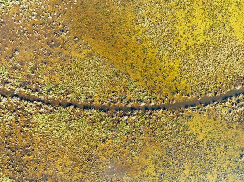 Detail of marshland near Sanlúcar de Barrameda. Aerial view. Drone shot. Cádiz province, Andalusia, Spain, Europe