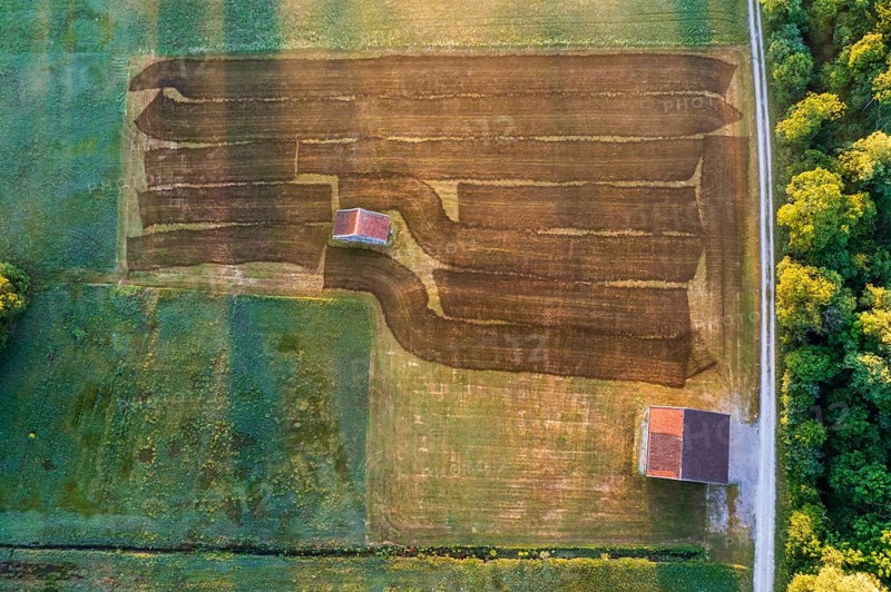 Aerial view of a meadow fertilised with liquid manure in the morning light, summer, Alpine foothills, Upper Bavaria, Bavaria, Germany, Europe