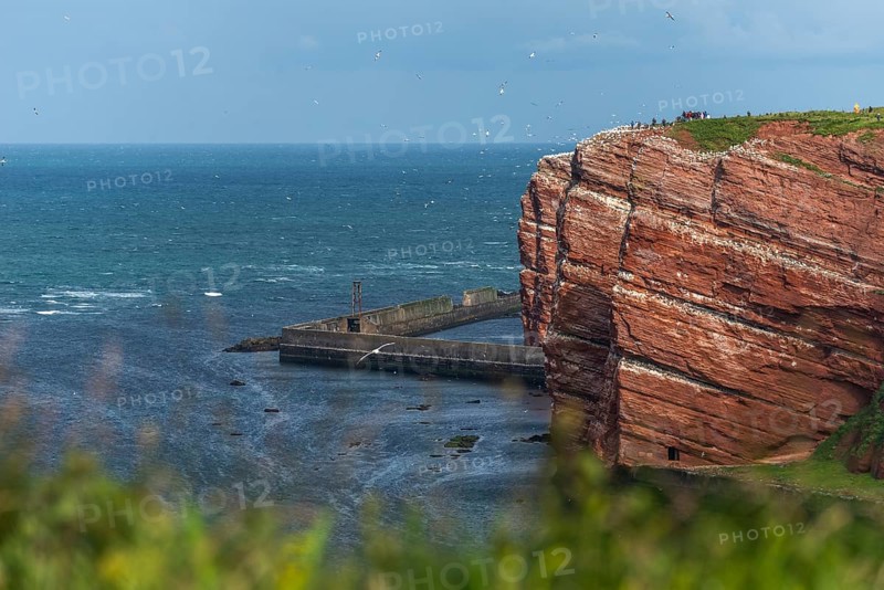 Red coloured sandstone, steep cliff coast of the high seas island of Heligoland, home of the gannets, Helgoländer Oberland, mole, North Sea, Pinneberg district, Schleswig-Holstein, Germany, Europe
