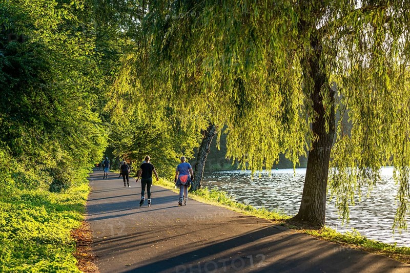 Inline skaters on Lake Baldeney, around 14 kilometres around the Ruhr reservoir, summer evening on the eastern shore, Essen, North Rhine-Westphalia, Germany, Europe