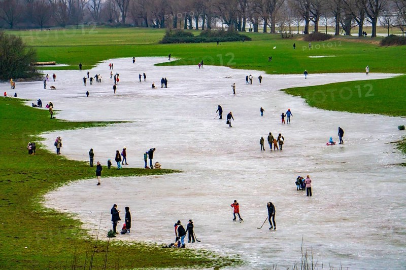 The Rhine meadows near Düsseldorf-Niederkassel, ice rinks after flooding, due to rising groundwater behind the Rhine dyke, winter fun, ice skating, North Rhine-Westphalia, Germany, Europe