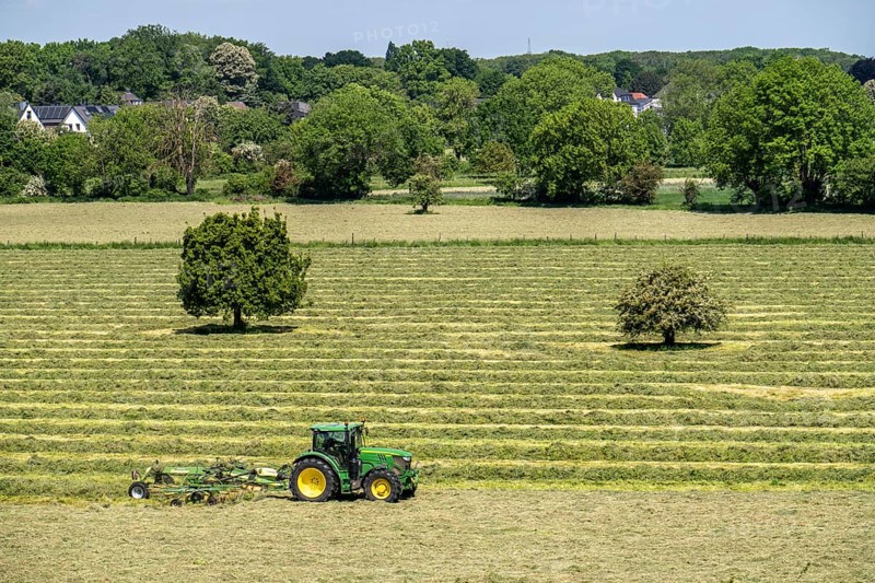Hay harvest, in a meadow near Duisburg-Baerl, tractor with roundabout tedder, a hay tedder that piles up the cut grass in strips so that it can later be picked up and utilised, North Rhine-Westphalia, Germany, Europe