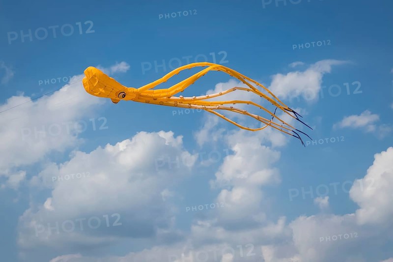 Yellow squid as flying dragon, octupus, wind, childhood, figure, blue sky, autumn, Germany, Europe