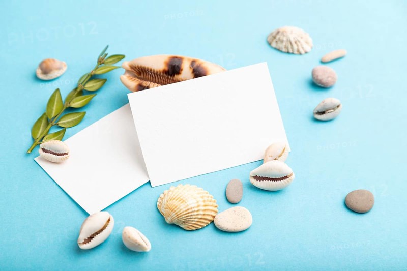 Composition with white paper business cards, seashells, green boxwood. mockup on blue pastel background. Blank, side view, still life, copy space. travel concept
