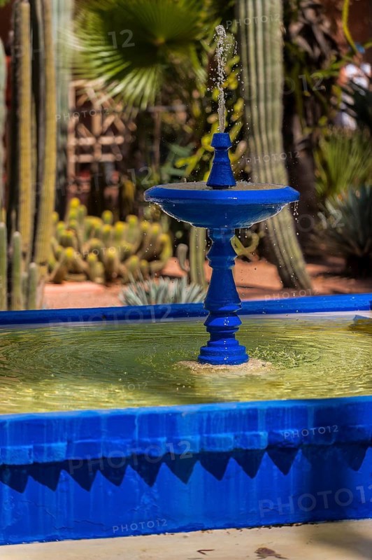 Fountain with water basin in the Majorelle Garden, botany, water, pond, flora, plant, botany, flower, tropical, climate, architecture, indigo, blue, park, decoration, attraction, travel, holiday, Marrakech, Morocco, Africa