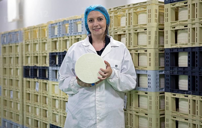 Castilian woman showing a typical Zamora cheese in a cheese factory, cheese stacked in boxes in the back, Fuentesaúco, Zamora province, Castilla y Leon, Spain, Europe
