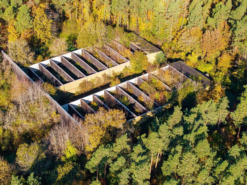 A building surrounded by autumn-coloured forest in a natural environment from a bird's eye view, high ropes course, Nagold, Black Forest, Germany, Europe