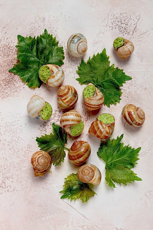 Snails stuffed in Burgundy, top view, with grape leaves, French cuisine, no people