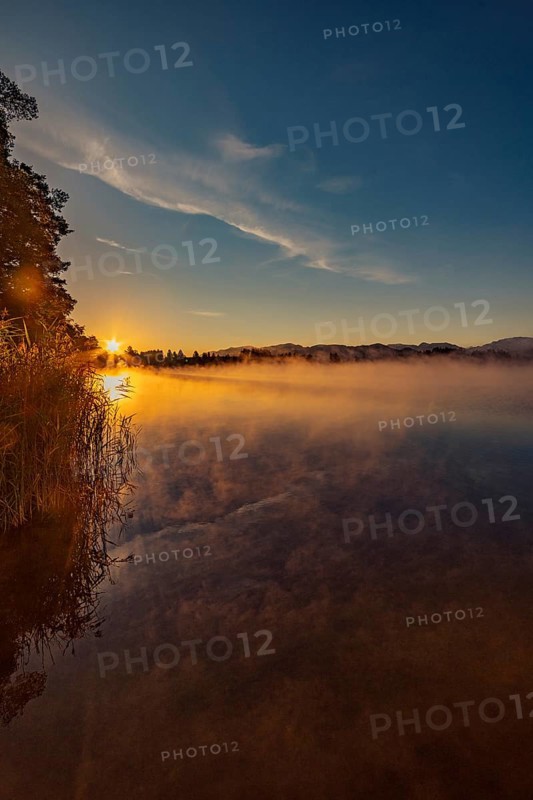 Autumnal morning atmosphere at Schmutter Weiher with fog near Lechbruck, Halblech and Roßhaupten in Allgäu, Bavaria, Germany, Europe