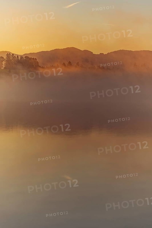 Autumnal morning atmosphere at Schmutter Weiher with fog near Lechbruck, Halblech and Roßhaupten in Allgäu, Bavaria, Germany, Europe