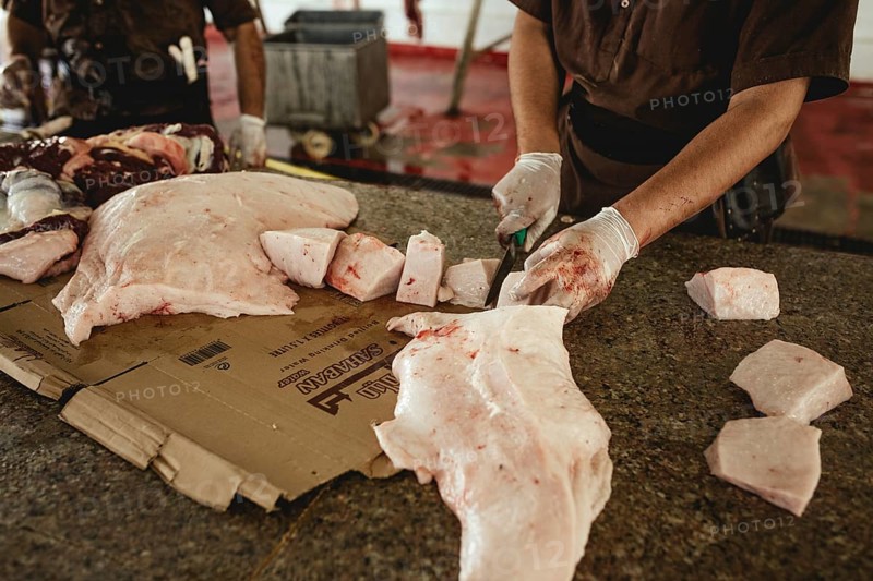 Cutting up a slaughtered dromedary (camelus dromedarius), camel slaughter, Salalah slaughterhouse, Dhofar, Oman, Asia