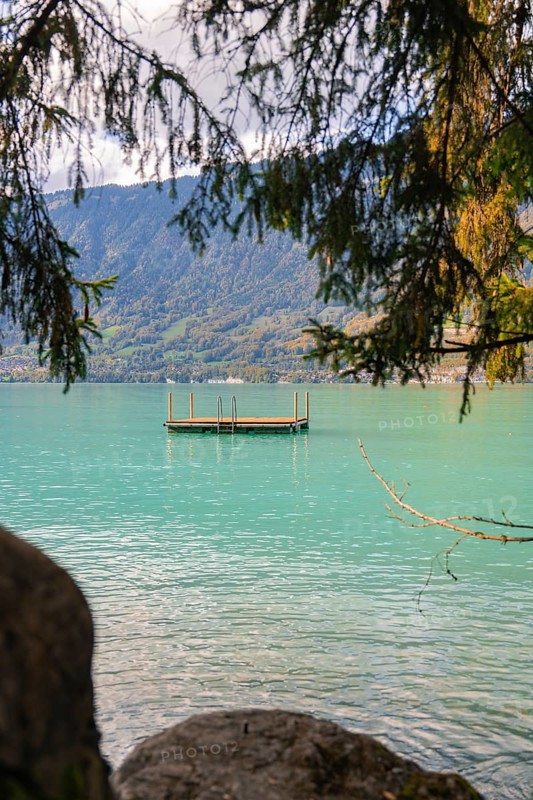 Wooden platform floating on azure blue lake, framed by trees, Lake Brienz, Switzerland, Europe