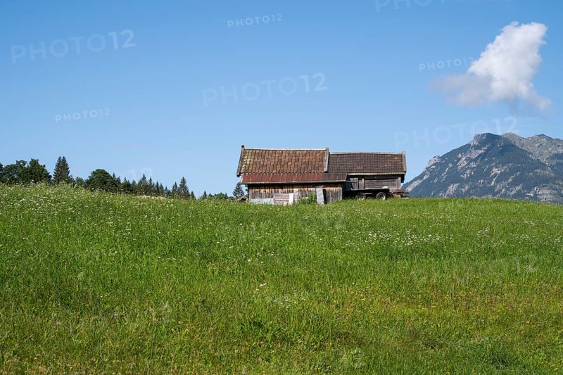 Stadel on the mountain meadow, behind Karwendel Mountains, Alps, Mittenwald, Werdenfelser Land, Upper Bavaria, Bavaria, Germany, Europe